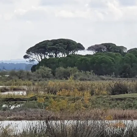 Bauernhof Petros To Let Kalogria (Achaea)