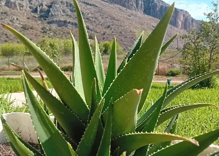 农家乐 Petros To Let