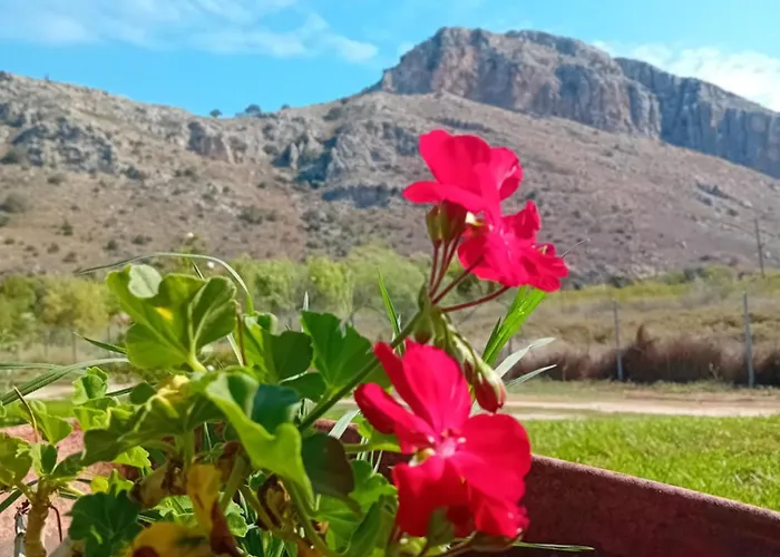 Petros To Let 农家乐 *