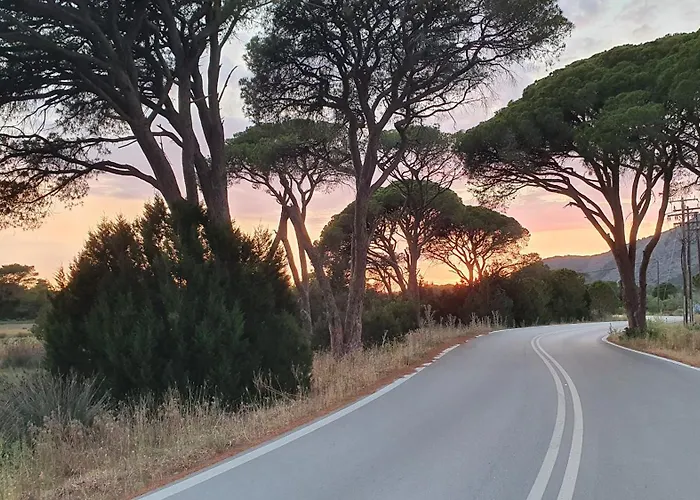 Petros To Let 农家乐 *