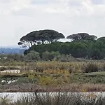 Feriegård Petros To Let Kalogria (Achaea)