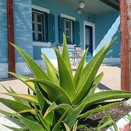 Farm stay Petros To Let Kalogria (Achaea)