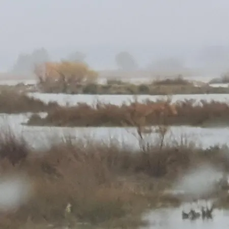 Petros To Let * Καλογριά