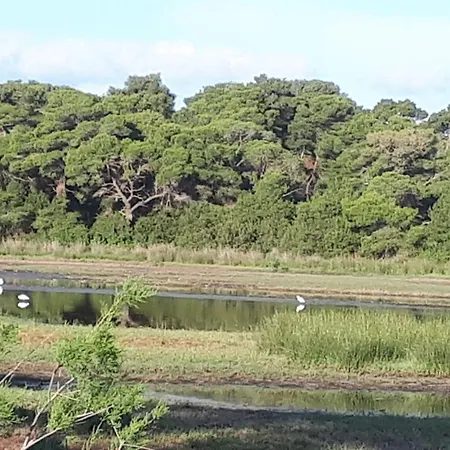 Petros To Let Κατάλυμα σε φάρμα