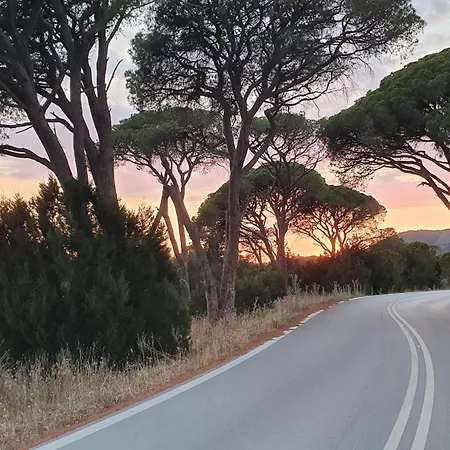 Petros To Let 农家乐 *