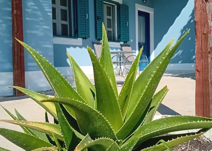 Farm stay Petros To Let Kalogria (Achaea)