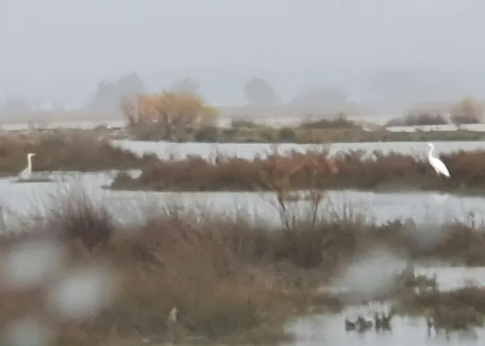 Petros To Let * Kalogria (Achaea)