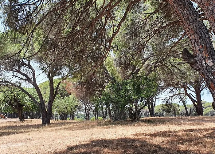 Petros To Let Kalogria (Achaea)