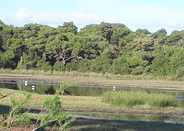 Petros To Let Farm stay