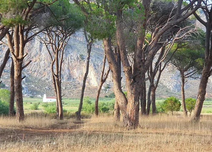 Farm stay Petros To Let Kalogria (Achaea)